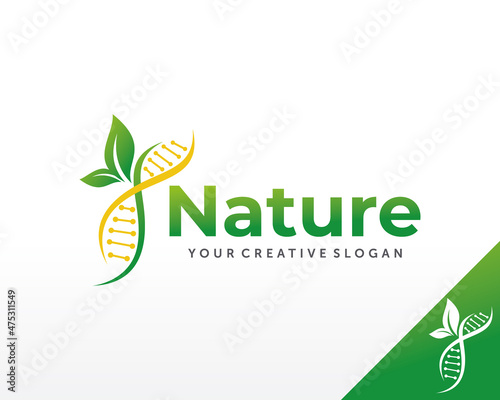 Genetics Logo design. DNA Logo Design Vector