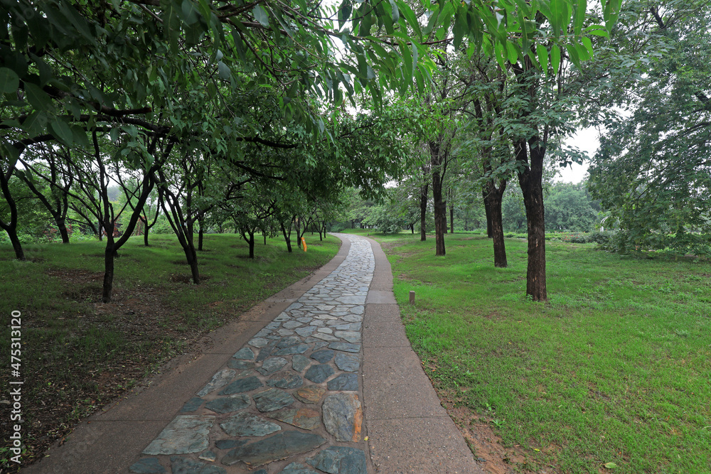 Obraz premium The path is in Beijing Botanical Garden, China