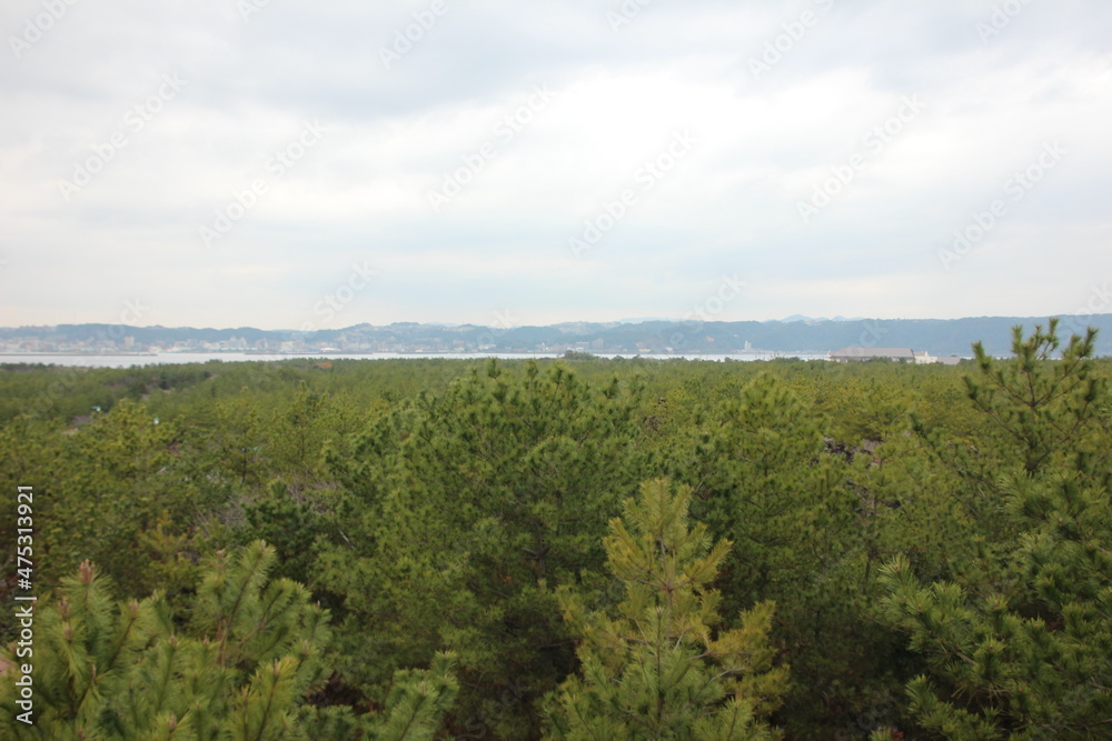 桜島の風景。鳥島展望所から望む対象溶岩原。