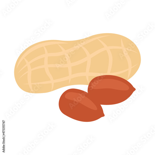 Peanut full in shell and open nut bean. Nut peanut healthy food harvesting. Natural protein. Vector illustration