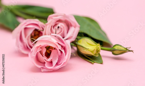 Festive bouquet of flowers for the beloved on a pink background. The concept of love congratulations on the wedding  March 8  Valentine s Day  Christmas and birthday. Copy space.