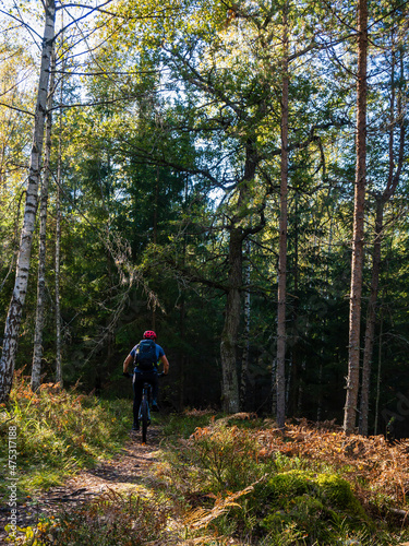 mountainbiker in the woods
