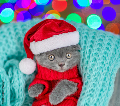 Surprised kitten wearing warm sweater  and santa hat lies inside a basket. Top down view