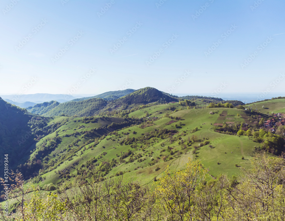 Naklejka premium Summer Mountain Landscape with Green Meadows .Rhodope Mountains in Bulgaria 