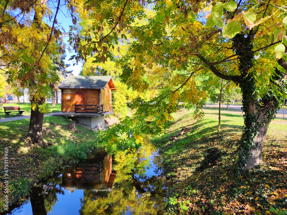 Trees in autumn colors reflected in calm water in Backi Petrovac Trees in autumn colors reflected in calm water in Backi Petrovac