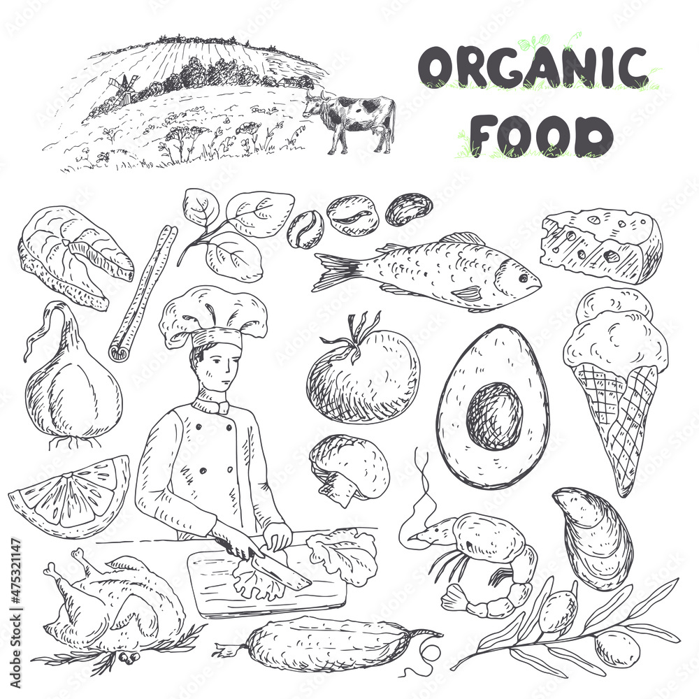 The cook prepares the dish. Tomato, garlic, fish, shrimp, mussels, an olive branch, chicken, turkey, mango, fish, cheese, champignon, coffee grains. Rural landscape with a cow. Vector illustration. The cook prepares the dish. Tomato, garlic, fish, shrimp, mussels, an olive branch, chicken, turkey, mango, fish, cheese, champignon, coffee grains. Rural landscape with a cow. Vector illustration.