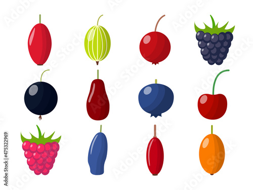 Set of berries on white background. Variety vector berries in flat style.