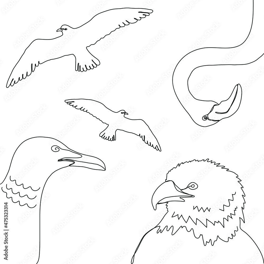 Birds. Eagle, seagull, flamingo. One line drawing isolated on white background. Beautiful hand draw design vector illustration for posters, wall art, tote bag, mobile case, t-shirt print Birds. Eagle, seagull, flamingo. One line drawing isolated on white background. Beautiful hand draw design vector illustration for posters, wall art, tote bag, mobile case, t-shirt print