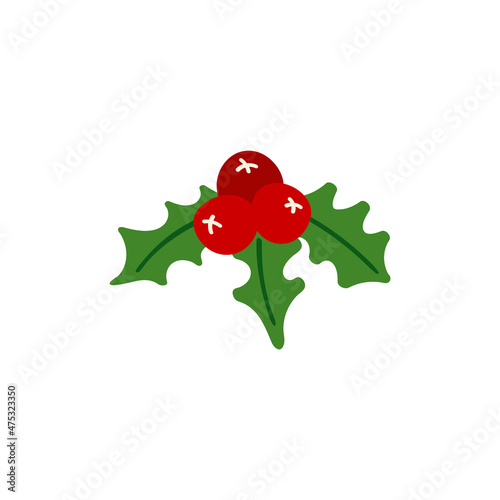 Mistletoe, holly, Christmas berries with doodle style leaves. Cute vector illustration for holiday decoration of cards, posters, concession products. Christmas and New Years element.