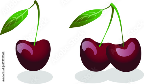 Set of photo realistic tasty cherries with shadow