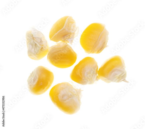 Dry grains of corn on a white background.