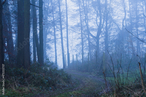 A path in the English countryside. On an atmospheric, foggy winters day. Cotswolds. UK