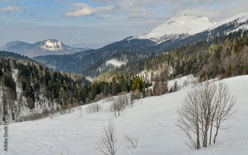 fir forests and ski resort pistes on the southern slopes of Aibga ridge in Sochi National Park (Krasnodar Krai, Russia) 