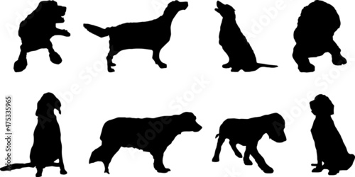 English Setter Dog Silhouette Bundle SVG