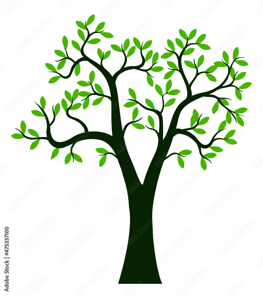 Green Spring Tree.. Vector outline Illustration. Plant in Garden. Green Spring Tree.. Vector outline Illustration. Plant in Garden.