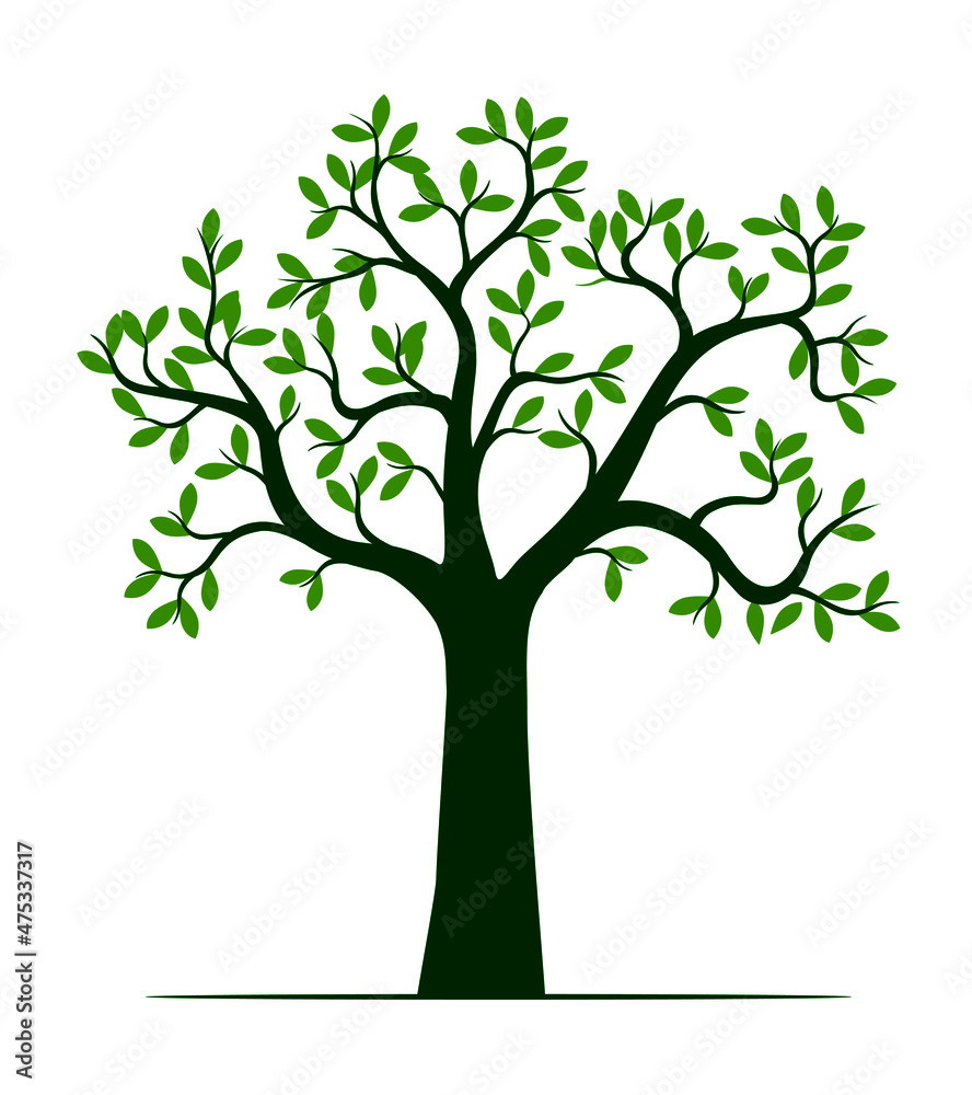 Green Spring Tree.. Vector outline Illustration. Plant in Garden. Green Spring Tree.. Vector outline Illustration. Plant in Garden.