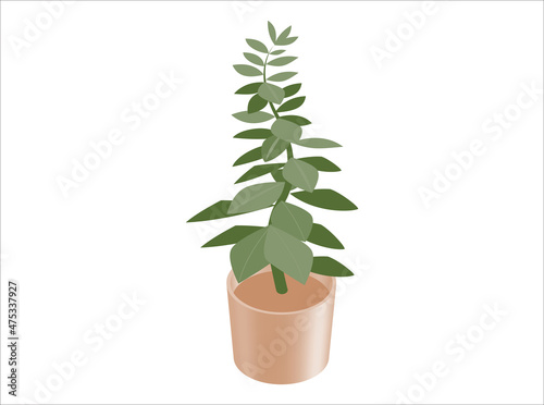 House plant isometric illustration. Home decoration. 3D rendering. Green plant with leaves in a brown pot.