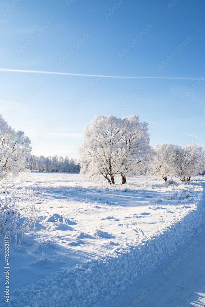 Beautiful winter landscape. Trees in hoarfrost in a snowy field. Sunny frosty day. Nature background Beautiful winter landscape. Trees in hoarfrost in a snowy field. Sunny frosty day. Nature background