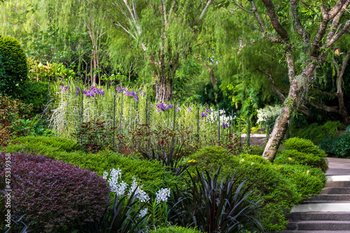 Photography Beautiful shot of the blooming Singapore Botanical Gardens