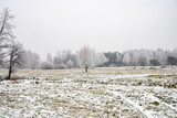 Zima, zimowy krajobraz, zimowe drzewa, oszronione drzewa, śnieg, zimowe krajobrazy, łąka zimą, Polska zimą, 