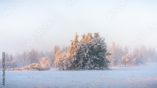 Sauerland im Winter