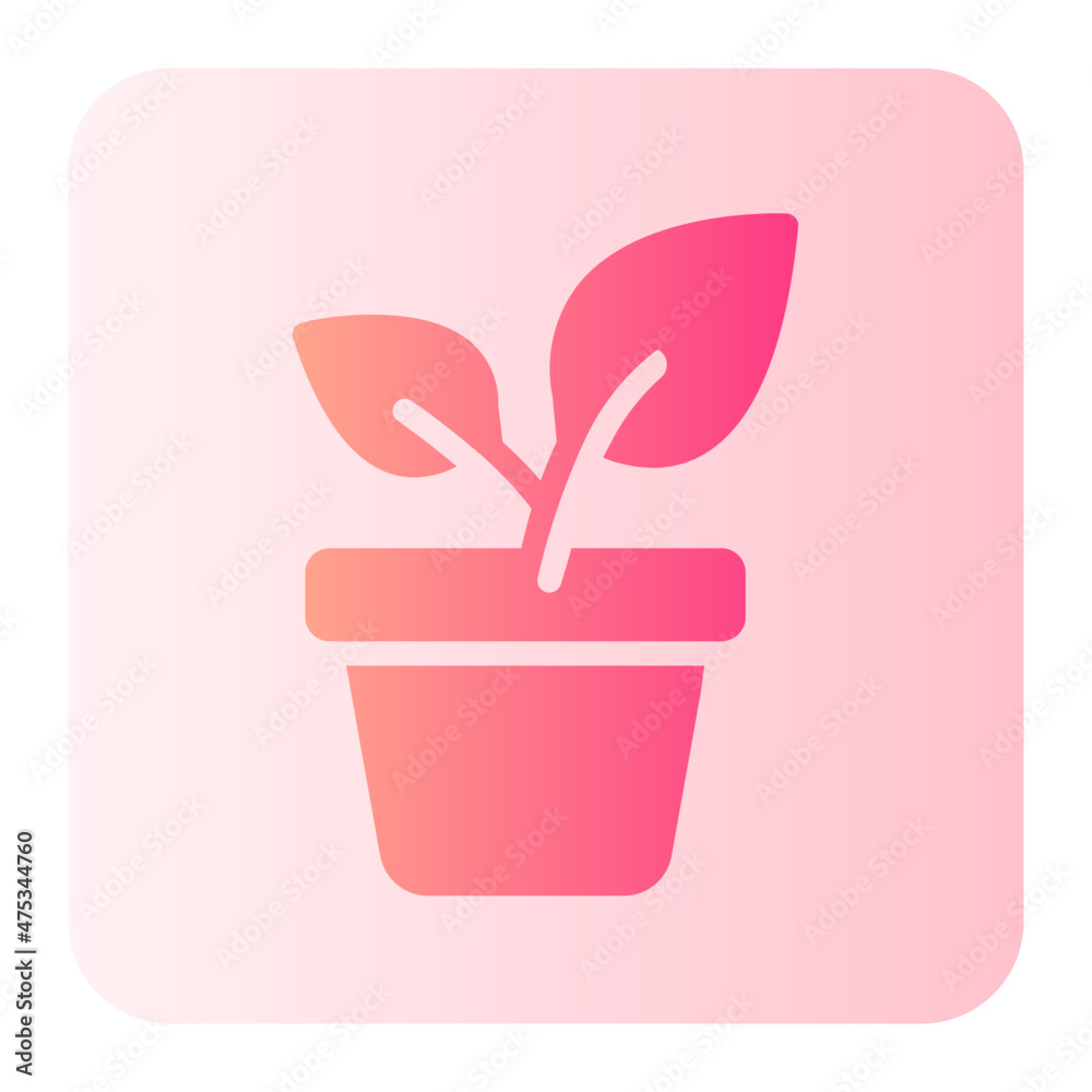 Potted Plant gradient icon