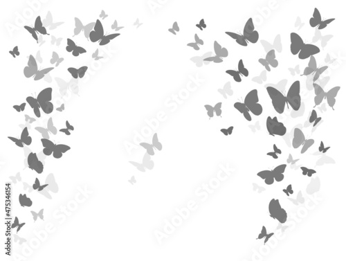 Flying black silhouettes of butterflies. Design element 
