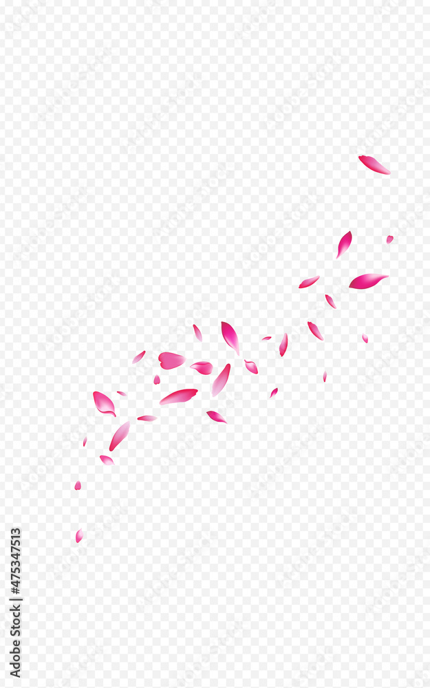 Pink Sakura Japanese Vector Transparent