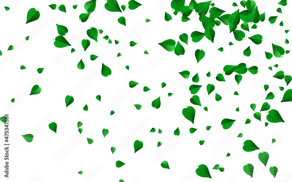 Olive Leaves Fly Vector White Background Plant. Olive Leaves Fly Vector White Background Plant.
