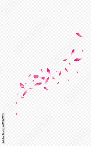 Pink Sakura Japanese Vector Transparent