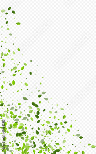 Forest Greens Organic Vector Transparent