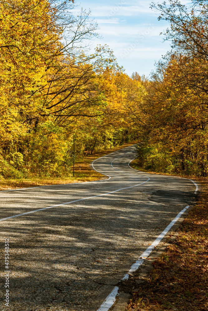 Fototapeta premium A country road with curves, white markings and patching on the asphalt. At the edges of the road is a yellow autumn forest. In the background is a blue sky with clouds.