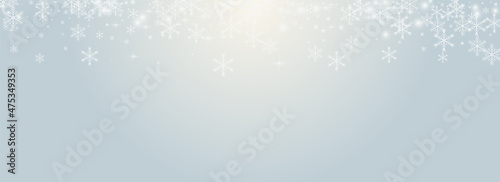 Grey Snowflake Vector Grey Panoramic Background.