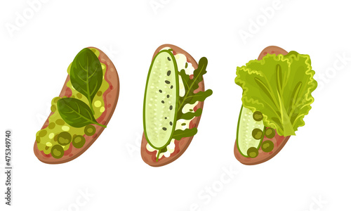 Top view of sandwiches with vegetables and culinary plants set. Healthy breakfast vector illustration