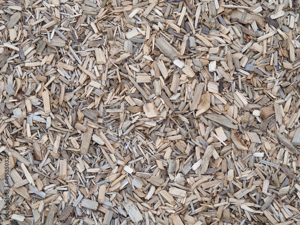 seeds background seeds background