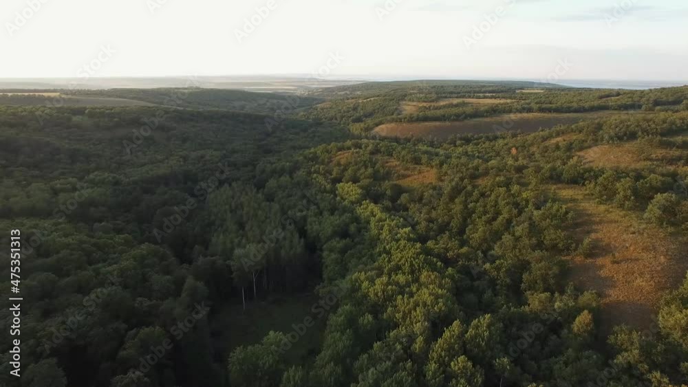 flying over the forest during sunset flying over the forest during sunset
