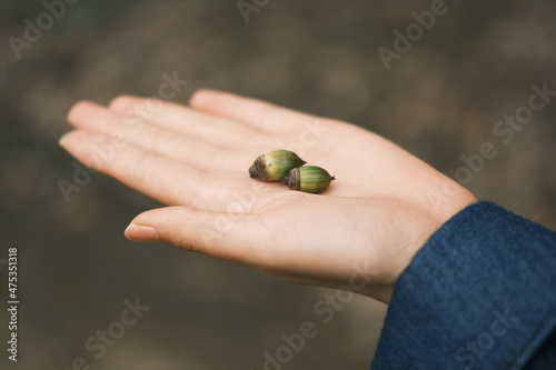 hand holding a acorn