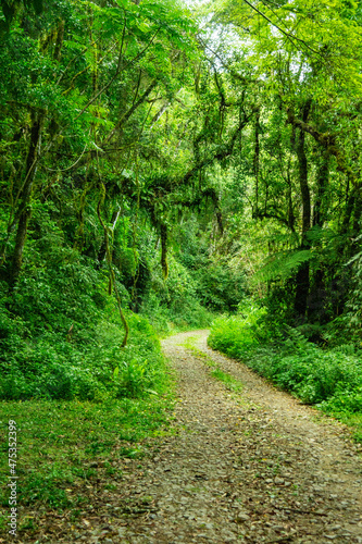 Estrada da Graciosa