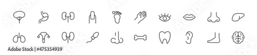 Set of simple body part line icons.