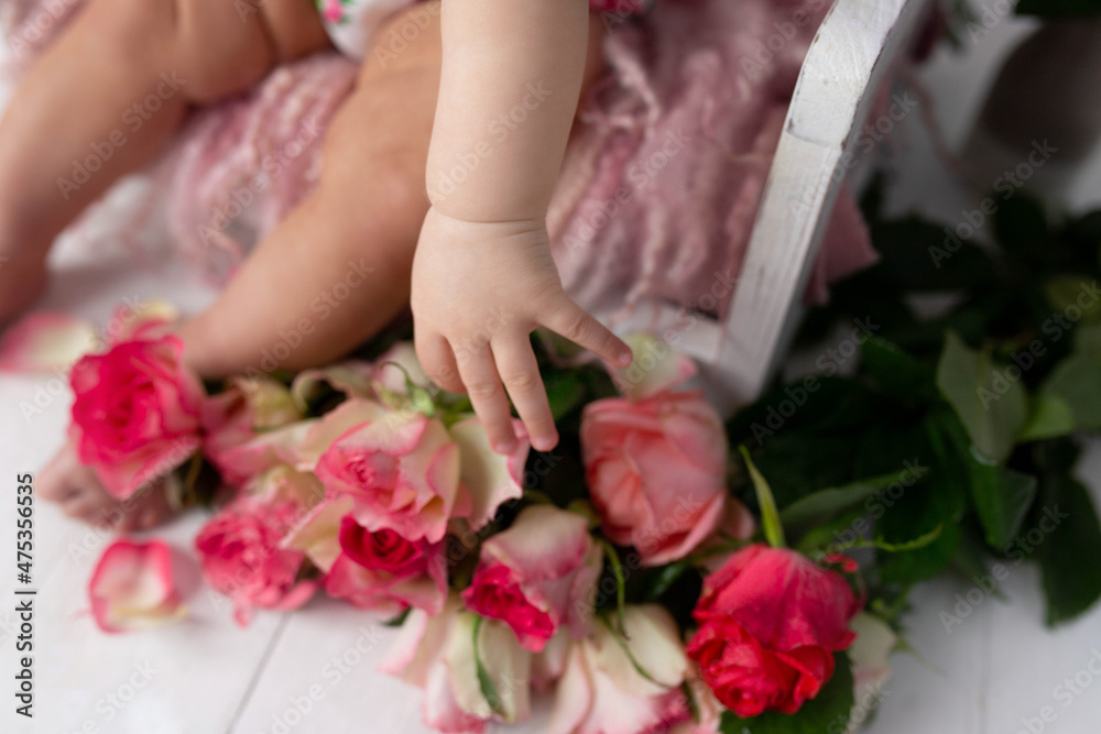 children's small hand on a white background near a bouquet of roses children's small hand on a white background near a bouquet of roses