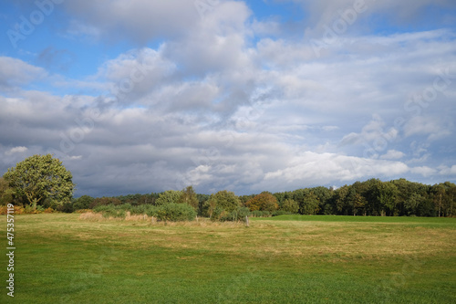 field and blue sky