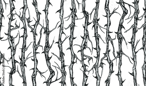 Hand drawn vector seamless pattern of vertical briar patch with stems and thorns. Black and white illustration.