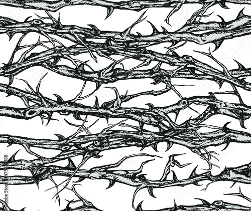 Hand drawn vector seamless pattern of tangled horizontal briar patch with stems and thorns. Black and white illustration.