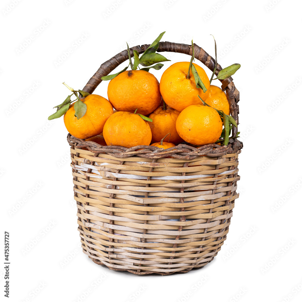 handmade fruit basket full of pokan tangerine isolated on white handmade fruit basket full of pokan tangerine isolated on white