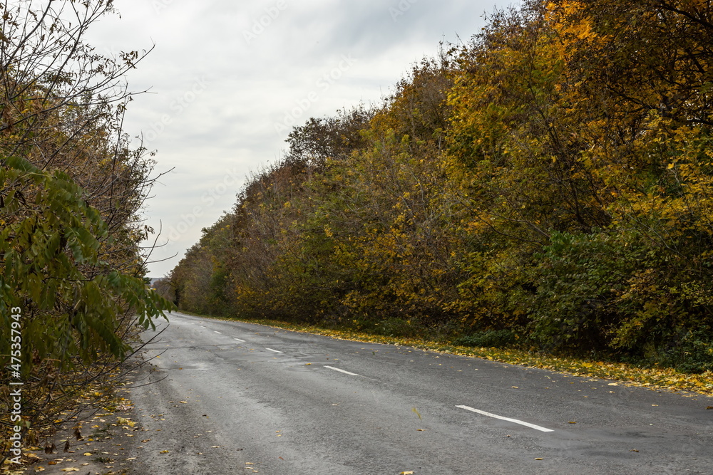 Fototapeta premium Car on the road in the fog. Autumn landscape