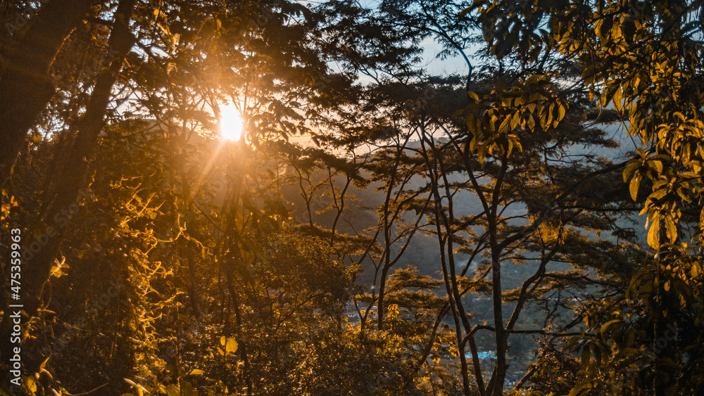 Obraz premium sunrise