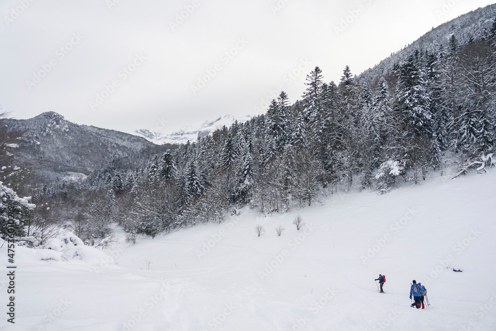 Pirineo Frances Invernal, paseo en raquetas