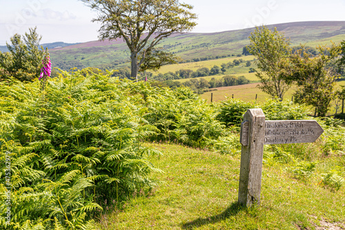 Fototapeta A waymark post for Dickie's Path on Stoke Pero Common on Exmoor National Park, n
