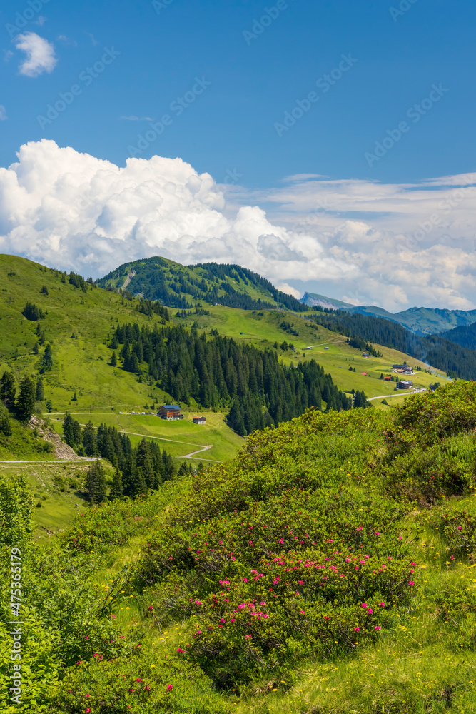 Typical alpine landscape in early summer near Damuls, Vorarlberg, Austria