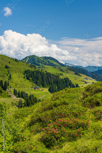 Typical alpine landscape in early summer near Damuls, Vorarlberg, Austria © Richard Semik